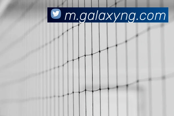 银河galaxy娱乐官网APP 封面图